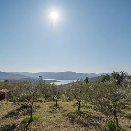 Villa Poji Buzet Exterior photo